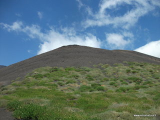 Monte_Nero_delle_Concazze - 30-06-2013 11-19-02.JPG